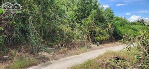 Nền thổ cư xã thanh phú long giá công nhân