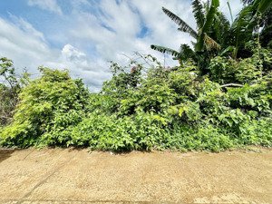 đất gần hồ buôn bông - eakao với diện tích gần 600m2 - chỉ 339 triệu