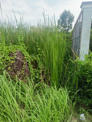 chính chủ cần bán, giá tốt, vị trí đẹp