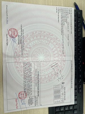 chủ gửi bán lô đất cực đẹp ngay uỷ ban phường tân triều cạnh lavender. diện tích 6x19 xây biệt thự