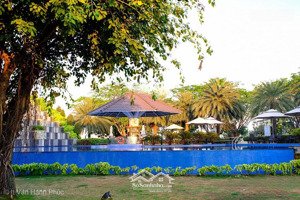 cập nhật các căn nhà phố cần bán trong t8/25 tại melosa. liên hệ tấn giàu