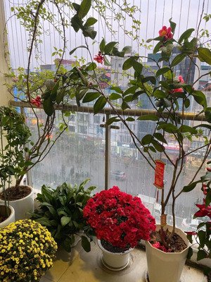 tôi bán căn hộ 101m2 tk 3pn vị trí 21 lê đức thọ ,chung cư súnsquear,tầng trung ban công hướng mát.