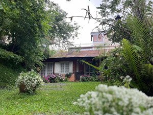 nhà nhỏ xinh sân vườn quang trung, không gian trong lành nghỉ dưỡng