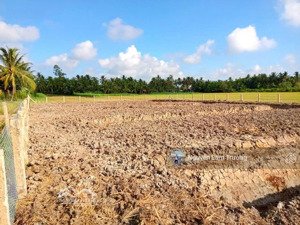 tôi cần bán một thửa đất tại xã tân trung, thành phố gò công diện tích 150m2 giá 490 triệu shr