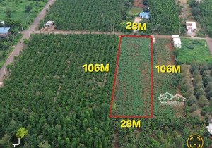 bán 3000m2 đất khu dân cư, phủ hồng, đường nhựa, 3.25 tỉ