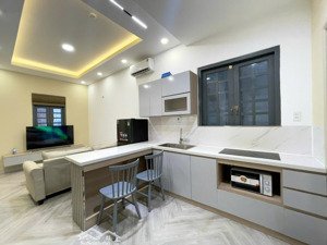 cho thuê căn hộ 2pn | trung tâm hcm _ giáp quận 1