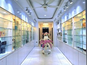 siêu phẩm nha đẹp thái thịnh đống đa, dt 65m2 7 tầng mt 3,7m, thang máy, oto vào nhà, kinh doanh