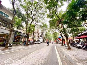 kinh doanh sầm uất nhà phố 45m, dòng tiền 30tr/tháng - nam từ liêm