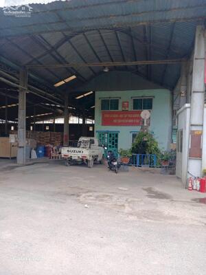 CHO THUÊ XƯỞNG TÂN HIỆP TÂN UYÊN BÌNH DƯƠNG