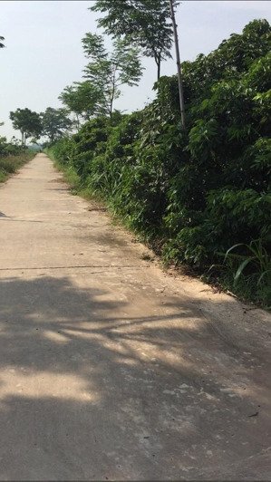 bán trang trại tại đường adb, xã tân hưng, hưng yên, 1,2 tỷ, 3400m2 - hot! uy tín