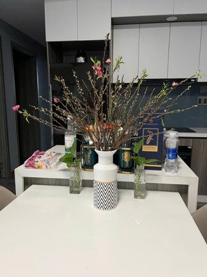 em cần mua căn hộ ehomes noxh hoặc thương mại.