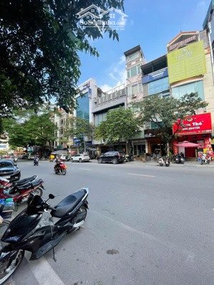 chính chủ bán nhà mặt phố giang văn minh - ba đình - dòng tiền 1.9 tỷ/năm. dt 95m2 x 9t. giá 55 tỷ