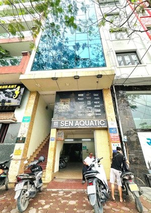 [mặt phố] quan hoa 13.6 tỷ 33m2 kinh doanh vỉa hè oto đỗ gần nút nguyễn khánh toàn đào tấn