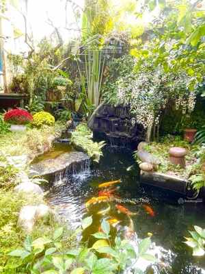 biệt thự phố ngọc thuỵ dt430m 3t chỉ nhỉnh 60tỷ ô tô tránh cạnh hồ cạnh vườn hoa hồng tiến kéo dài