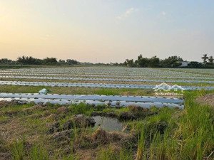 bán đất tại long khê diện tích 10.000m2 (có thương lượng)