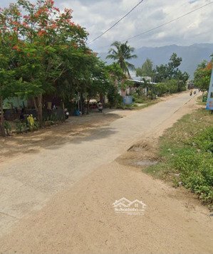 cần bán đất đẹp thổ cư tại ninh thượng, ninh hòa