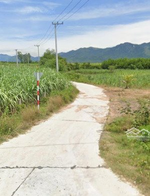 cần bán lô đất đẹp full thổ cư ninh thượng