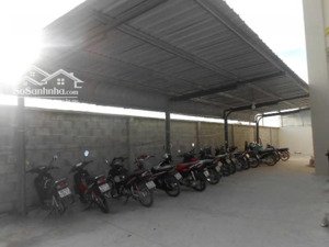 bán xưởng gỗ đang khai thác thu nhập ổn định, diện tích khủng 13.523m²