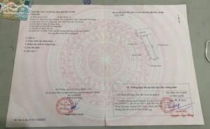 Bán lô đất 114m2 ngang 5m ngay gần nhà ga hành khách cao tốc Kiến Thụy Hải Phòng