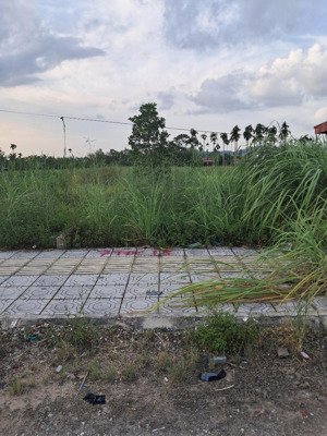 bán lô đất đẹp 60m2 tại khu tđc hoa động thủy nguyên hải phòng. giá 3,2 tỷ