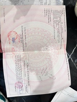 đất hoà minh 25 đường thông hồ tùng mậu, nguyễn sinh sắc. s= 93m ( 5x18.5) giá: 5.55 tỷ