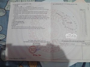 chú ba hạ giá 500 triệu còn 5 tỷ, bán gần 1ha đất trồng điều lâu năm