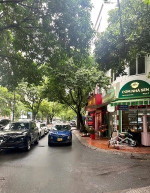 bán nhà riêng phố đỗ quang giáp nguyễn thị định 42m2,mt:4.2m,phân lô,vỉa hè rộng,kinh doanh,22,5tỷ