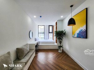 cho thuê căn hộ 1pn full nội thất ở phan chu trinh gần chợ bà chiểu, ngã tư hàng xanh bình thạnh