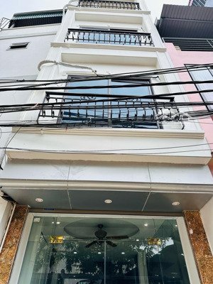 bán nhà phân lô vip phố đào tấn kinh doanh, ô tô vào nhà, 48m2 giá chỉ 15.8 tỷ, 15m ra đường lớn