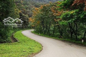 chính chủ bán đất ở nông thông 622m