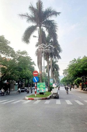 chủ cần bán gấp biệt thự nguyễn khuyến - văn quán - giá: 232m2 * 4t, 10m mặt tiền