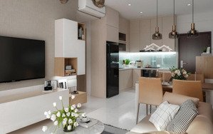 cho thuê ch 2pn, 2wc, 80m2 giá 18 triệu tại the everrich infinity, q5, hcm