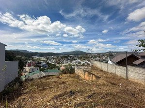 hạ gấp 5 tỷ từ 30 tỷ nay chỉ còn 25 tỷ bán gấp lô đất hiếm hoi view đẹp đường đống đa, đà lạt