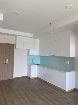 cho thuê cc 1pn, 1wc, 54m2 tại viva plaza, 7,5 triệu vnd