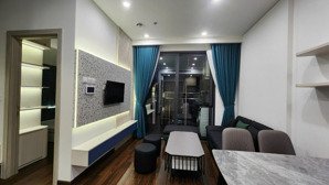 phân khu cao cấp nhất vin chính chủ bán nhanh 1n+1 rẻ nhất thị trường toà c 42m 3.6tỷ full nội thất