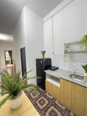 cho thuê cc mini 2pn, 1wc, 45m2, giá cực chất 9 triệu tại phan sào nam, tân bình, hcm