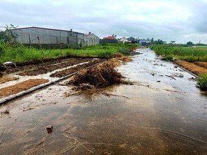 bán đất tại minh tân, kiến thụy, hải phòng, 12 triệu / m2, 1832m2 đẹp, nhiều tiện ích