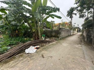 không mua lô này thì mua lô nao nhanh tay nhanh tay