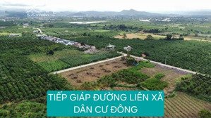 chỉ còn 3 lô liền kề 5x40m giá chỉ 430 triệu tại xã đinh văn, lâm hà (tân văn lâm đồng)