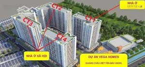 dự án nhà ở xã hội quang châu (vega homes)