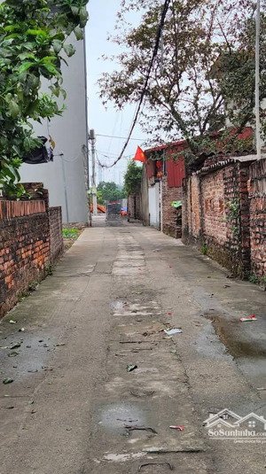 bán đất thôn vệ, nam hồng, dt 65m2, ô tô vào đất. hơn 4 tỷ