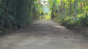 siêu phẩm nhà vườn với diện tích 500m có 300m đất ở, ngang 15m, đất sạch đẹp, đường oto