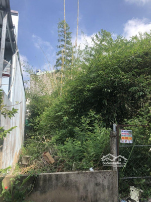 bán đất hxh 5,3*15,5m, 2,97 tỷ, bớt lộc, lê văn lương nhà bè, shr, xây tiền đó, sang tên ngay