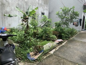 lô góc, bìa làng, view hồ không khí mát mẻ quanh năm, nở hậu phong thủy tốt