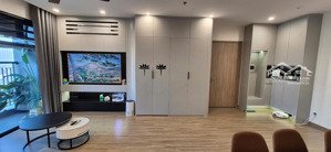 cho thuê căn hộ 3pn full nội thất cao cấp phân khu gs1 , giá chỉ 19tr miễn phí dịch vụ + wifi 1 năm