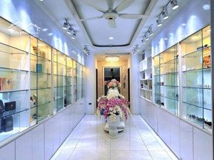 siêu hiếm - siêu đẹp - vip đống đa - khu phân lô - ô tô -thang máy - kinh doanh - ngõ thông.