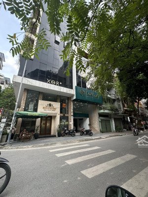 phân lô hoàng cầu - ô tô tránh - gara 2 ô tô - kinh doanh - thang máy - full nội thất - sổ hoa hậu