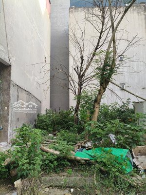 bán đất dịch vụ đìa lão,kiến hưng. dt 50m*mt 5.6m. giá nhỉnh 11 tỷ. ô tô, kinh doanh sầm uất