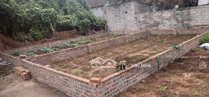 đất đẹp mai lâm - gần qh đường 40m - oto đỗ cửa vị trí: thái bình, mai lâm, đông anh.