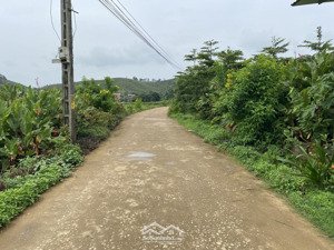 lô đất nghỉ dưỡng nhỏ xinh view đồng lúa và đỉnh núi ba vì siêu đẹp. dt 1000m, sổ đỏ xây được ngay